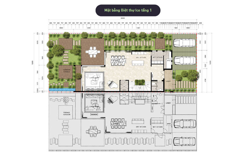 Mặt bằng biệt thự đảo Ecopark Grand - Mẫu Ice - Tầng 1
