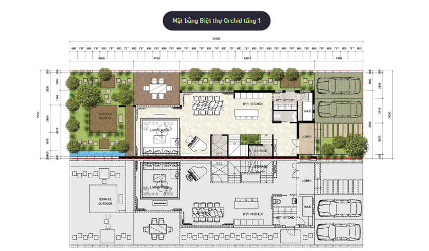 Mặt bằng biệt thự đảo Ecopark Grand - Mẫu Orchid - Tầng 1