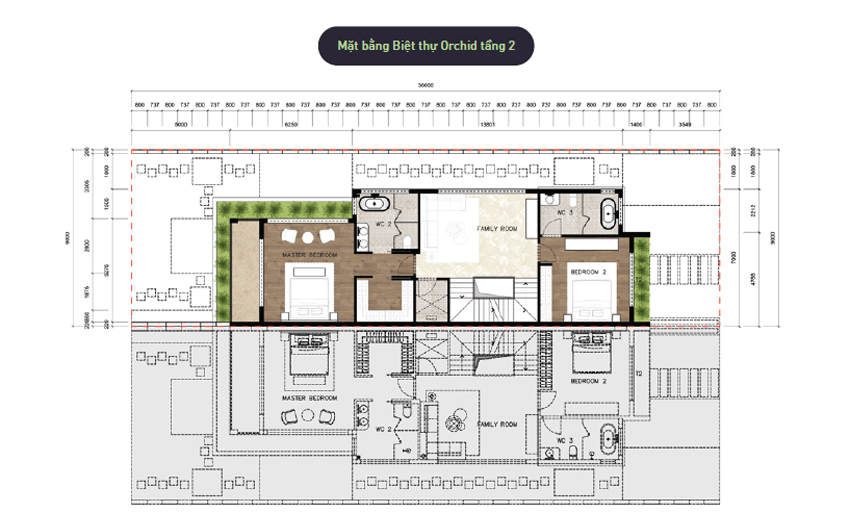 Mặt bằng biệt thự đảo Ecopark Grand - Mẫu Orchid - Tầng 2