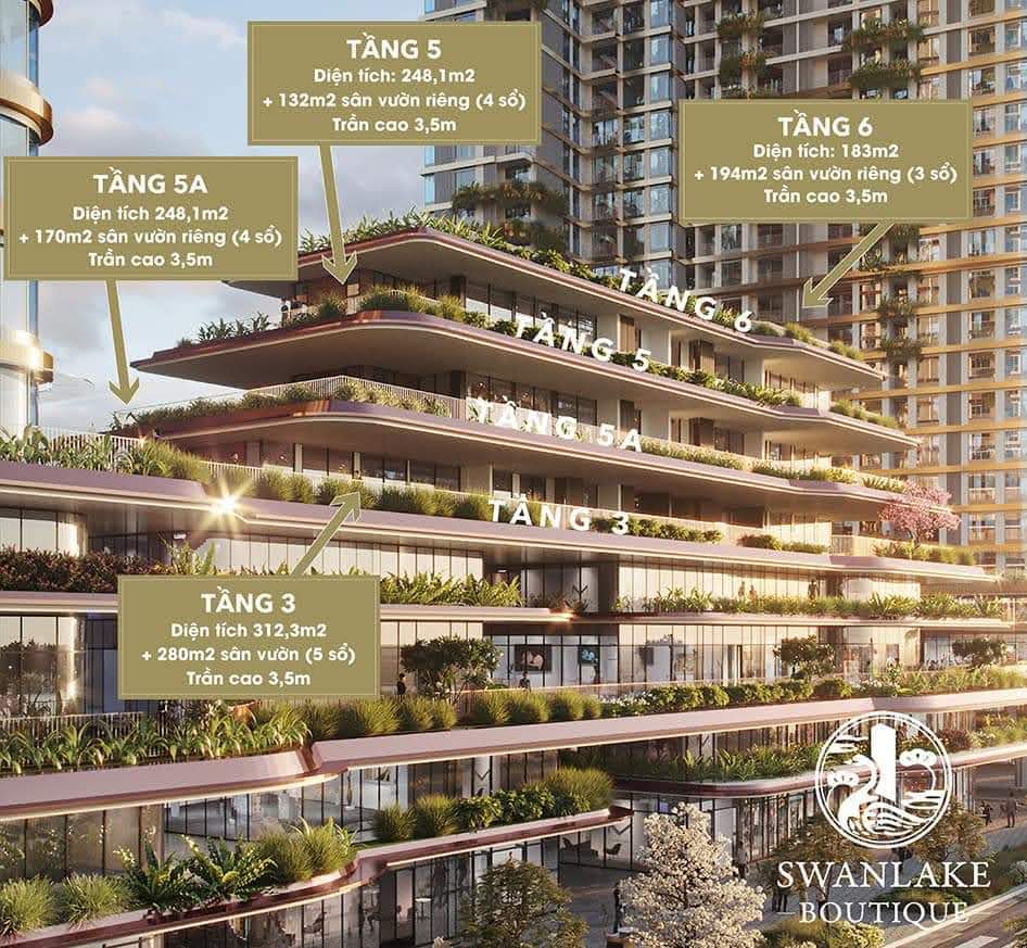 Thiết kế Trung tầng Swanlake Boutique Ecopark