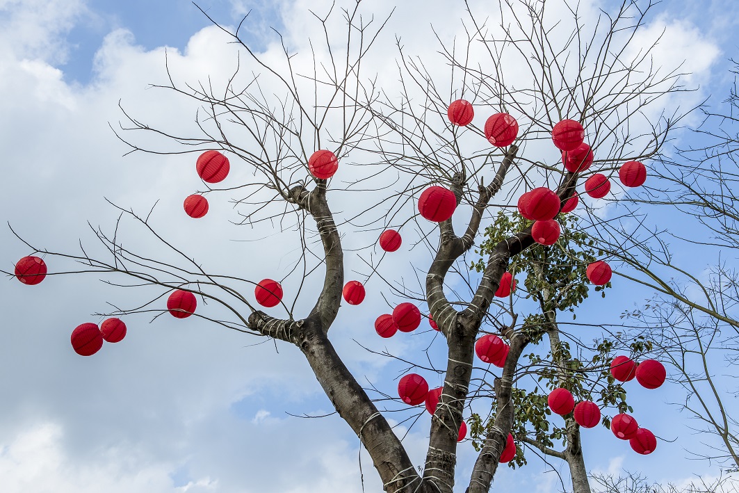 hoi-hoa-xuan-ecopark