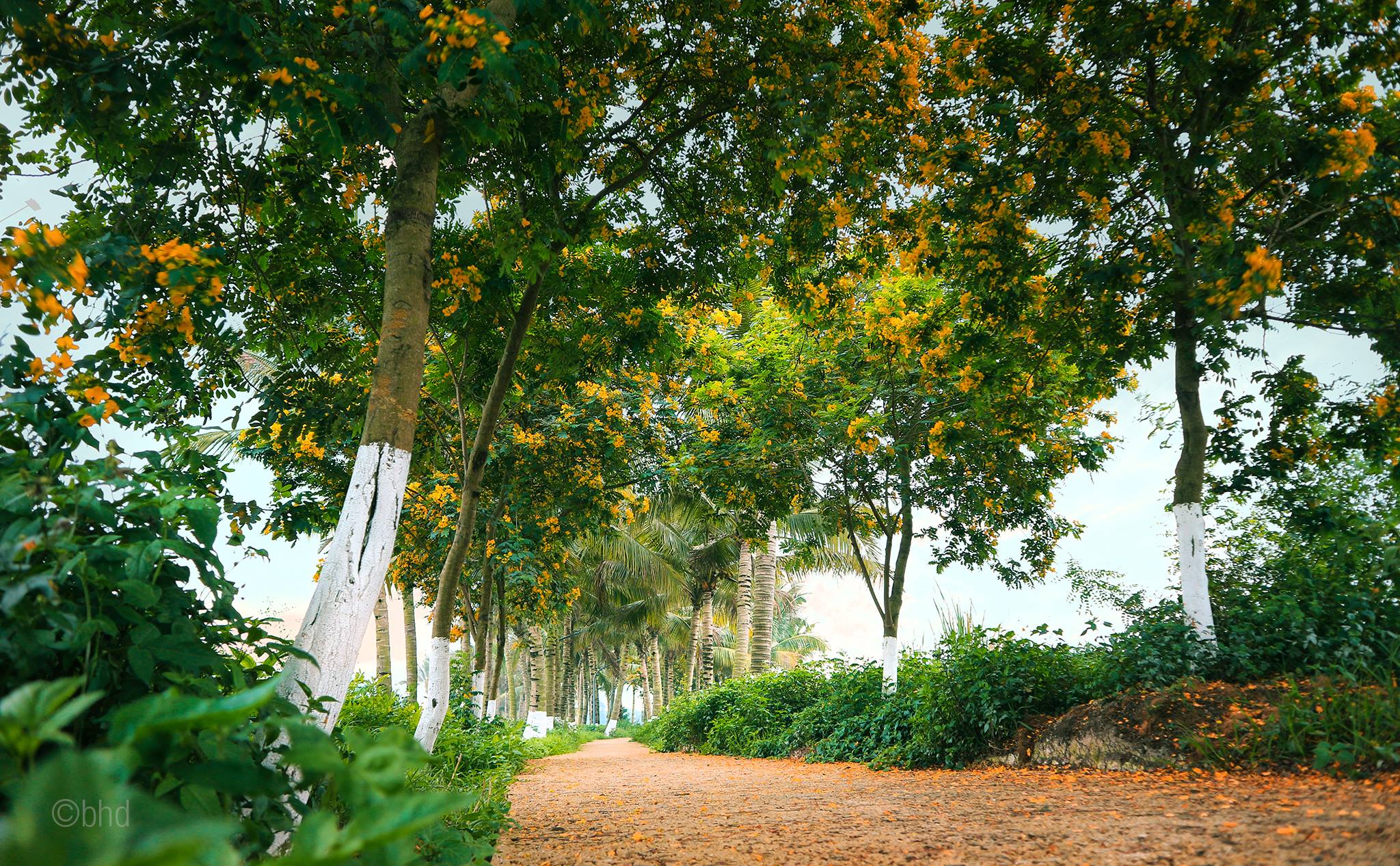 ecopark