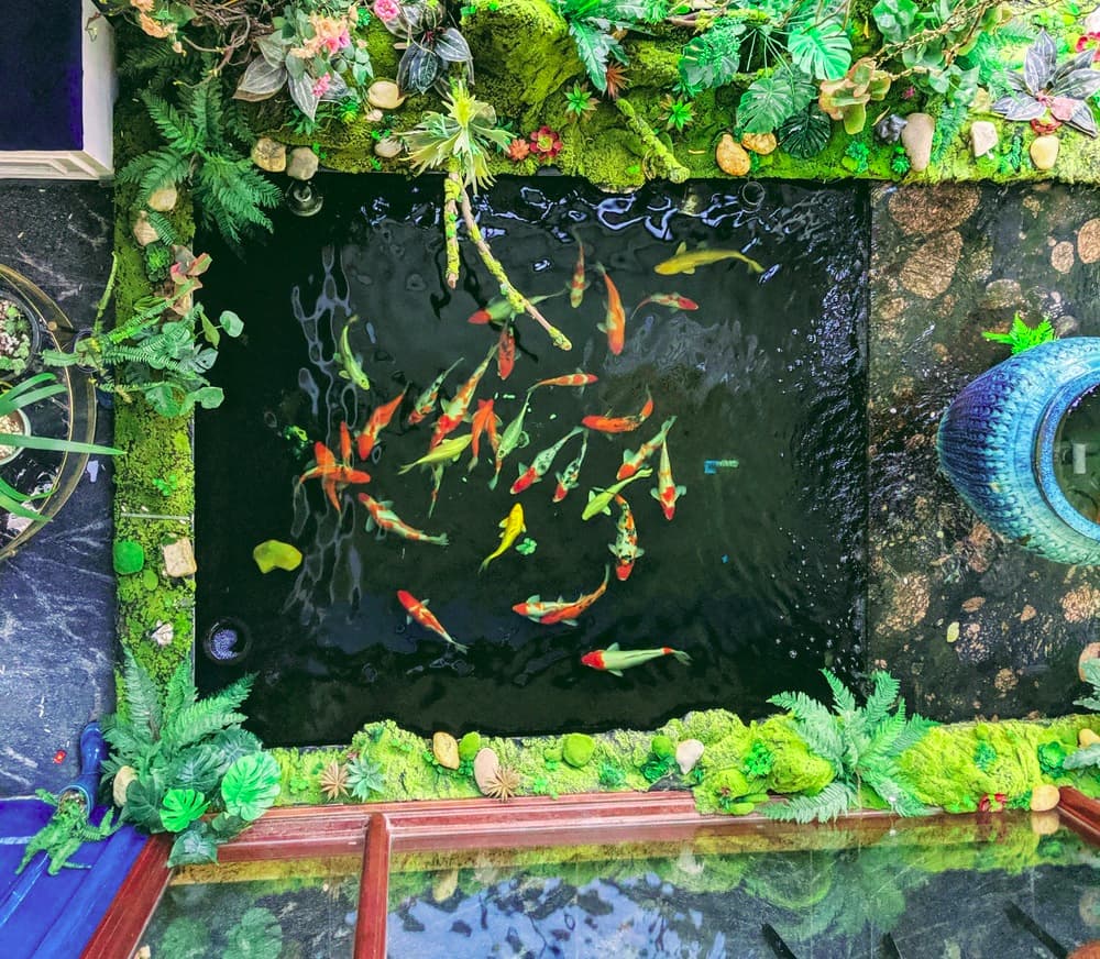 Quán cafe Lofita ở Thảo Nguyên Ecopark