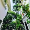 Biệt thự đơn lập Vườn Tùng Ecopark