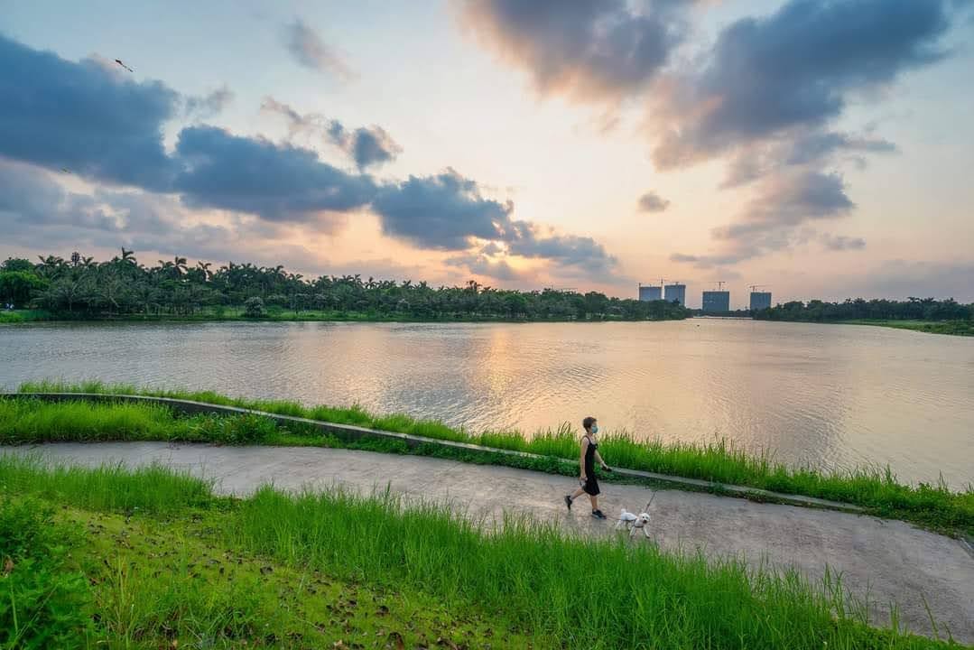 Vỉa hè ở Ecopark