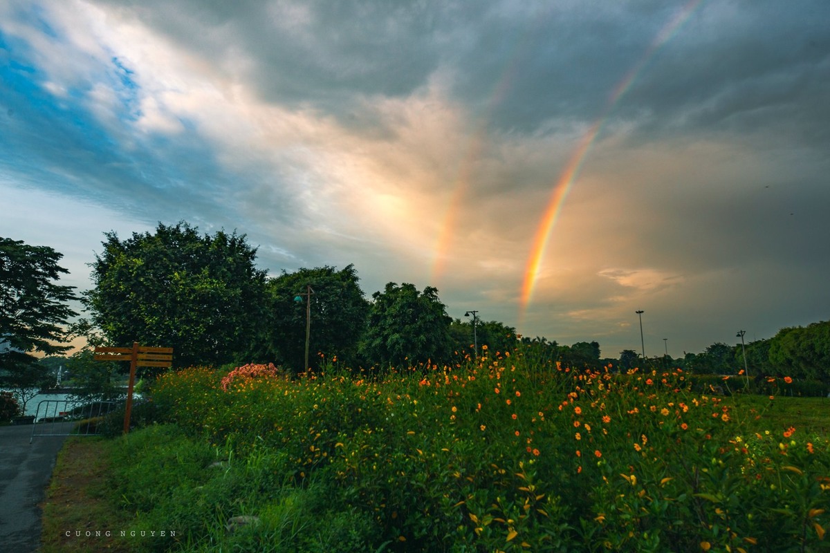 Cầu vồng đôi ở Ecopark