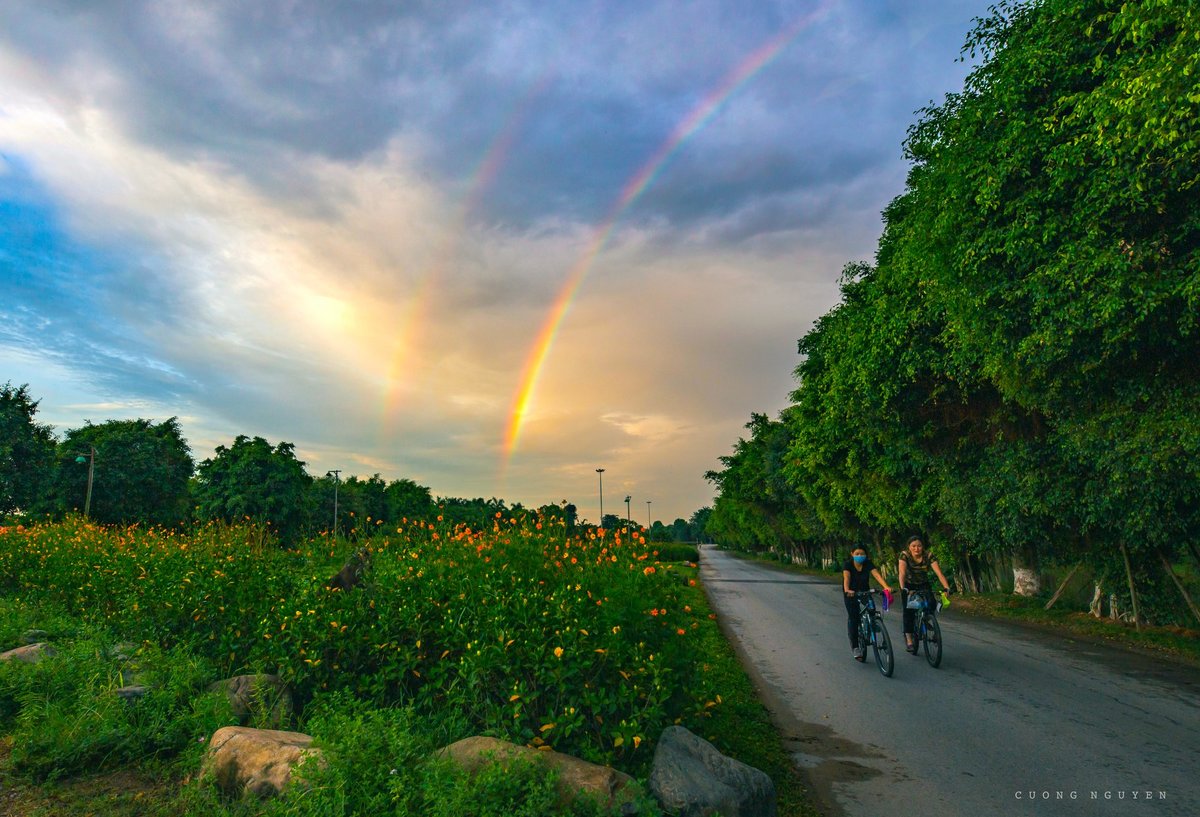 Cầu vồng đôi ở Ecopark