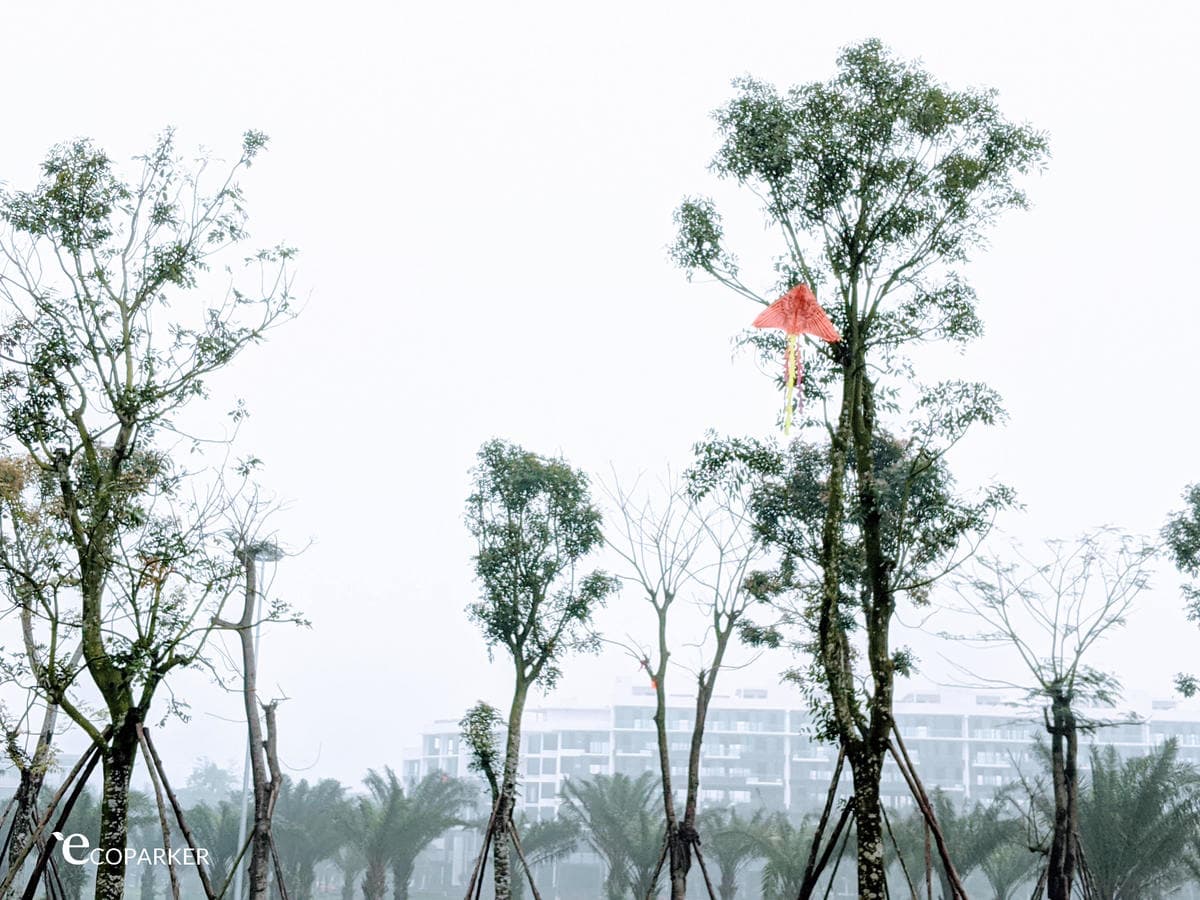 Ngày Tết Covid 2020 ở Ecopark