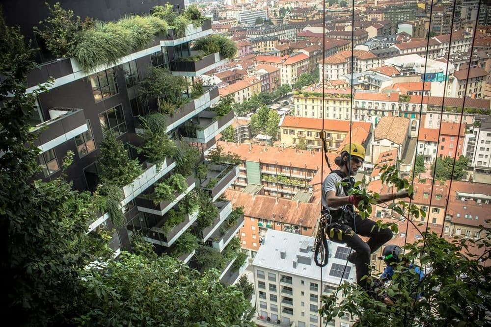 Chăm sóc cây Vertical Forest