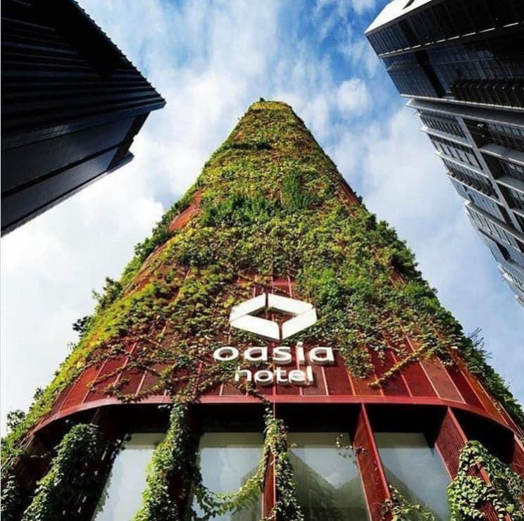 Công trình Vertical Forest - Rừng thẳng đứng tại Singapore